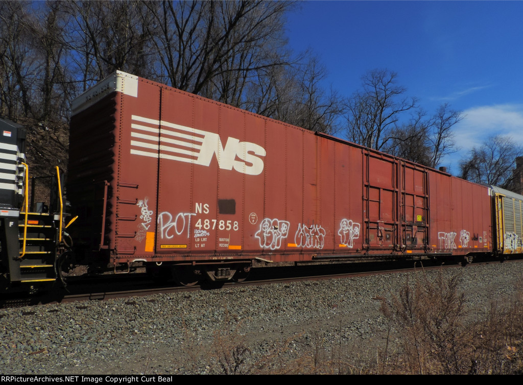 NS 487858